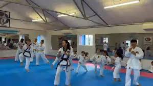 Image result for Tang Sou Dao Ren Yi Wu Kwan - Huntingdon
