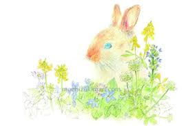 「望月麻里（マリ）」の画像検索結果