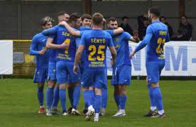 Image result for sényő