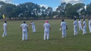 Image result for Lyndhurst Cricket Club