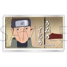 「うみのイルカ」の画像検索結果