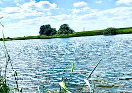 Image result for Reigate & District Angling Association