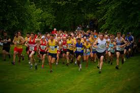 Image result for Calderglen Harriers