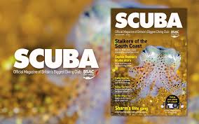 Image result for Splash Divers Sub Sub Aqua Club