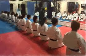 Image result for HEIWA SHOTOKAN KARATE CLUB
