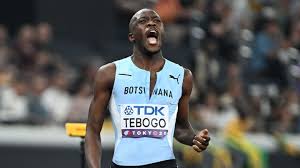 Image result for Tobogo