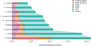 Image result for genome sizes