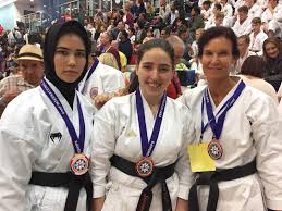 Image result for Waltham Abbey Shotokan Karate Club