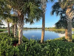 Image result for South Reddish Park (Veterans) Bowling Club