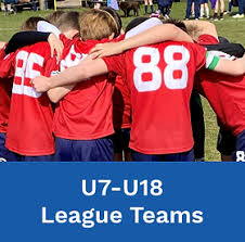 Image result for Molesey Juniors Football Club