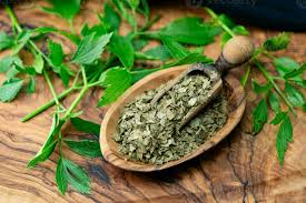 Attēlu rezultāti vaicājumam “Levisticum officinale leaf”