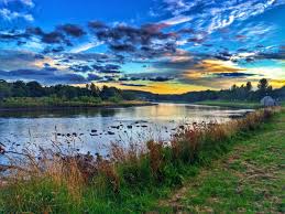 Image result for Aberdeen & District Angling Association