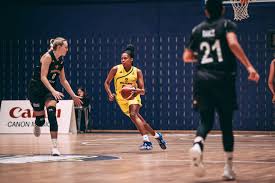 Image result for Nottingham Wildcats