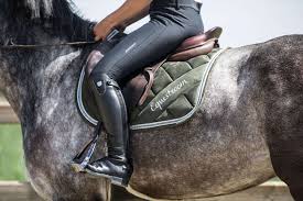 Image result for Patchett`s Green Riding Club