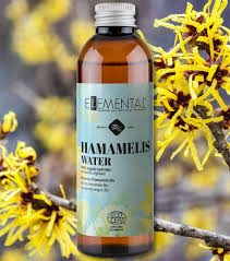 Attēlu rezultāti vaicājumam “Hamamelis”