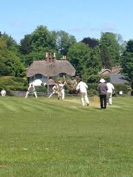 Image result for Lyndhurst Cricket Club