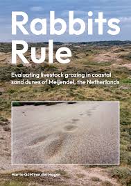 Attēlu rezultāti vaicājumam “Populus x lettland”