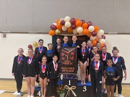 Image result for Biddick Sports College Community Gymnastics Club