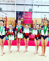 Image result for Bevendean Gymnastic Club