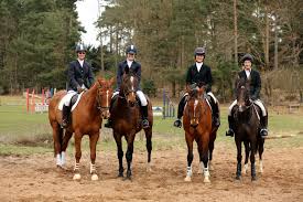 Image result for Bookham Riding Club