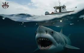 Image result for The Herne Bay & Whitstable Jetski & Watercraft Society (J A W S )