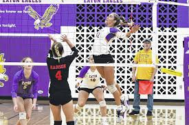 Image result for Eaton Eagles Badminton Club