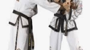 Image result for southern academy choi kwang do