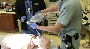 Image result for Igel