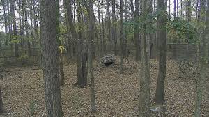 Image result for liveweb.archive.org