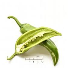 Afbeeldingsresultaat voor numex sandia hot pepper