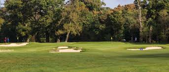 Image result for Verulam Golf Club Ltd