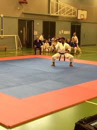 Image result for middlesbrough karate academy