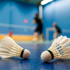 Image result for Ferndown Sports Badminton Club