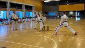 Image result for Redhill & Reigate Taekwon-Do