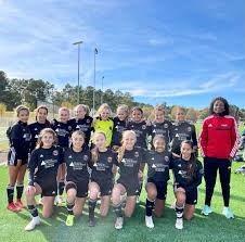 Image result for Beecholme Fc