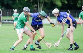 Image result for Patrick Sarsfield Gaelic Athletic Club