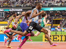 Image result for Tobogo