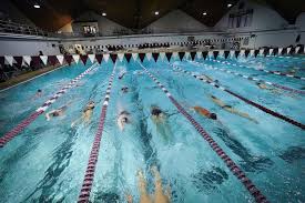 Image result for Ware Swimming Club