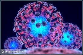 Image result for фотография вируса вич