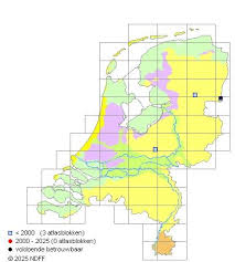 Attēlu rezultāti vaicājumam “Dicranum bergeri”