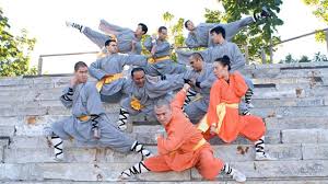 Image result for Shaolin Ancestors kung Fu School