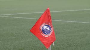 Image result for Dorking Wanderers F C