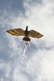 Image result for Atmosphere Kites