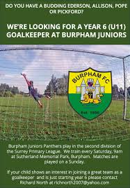Image result for Burpham Juniors Fc