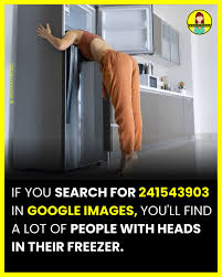 Image result for 241543903