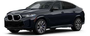 Image result for BMW X6