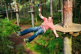 Image result for Go Ape! Whinlatter