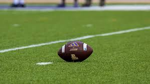 Image result for Spring View Community Sports Association