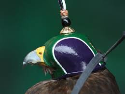 Image result for Wimbledon Hawks