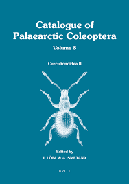 Image result for Coleoptera Curculionoidea